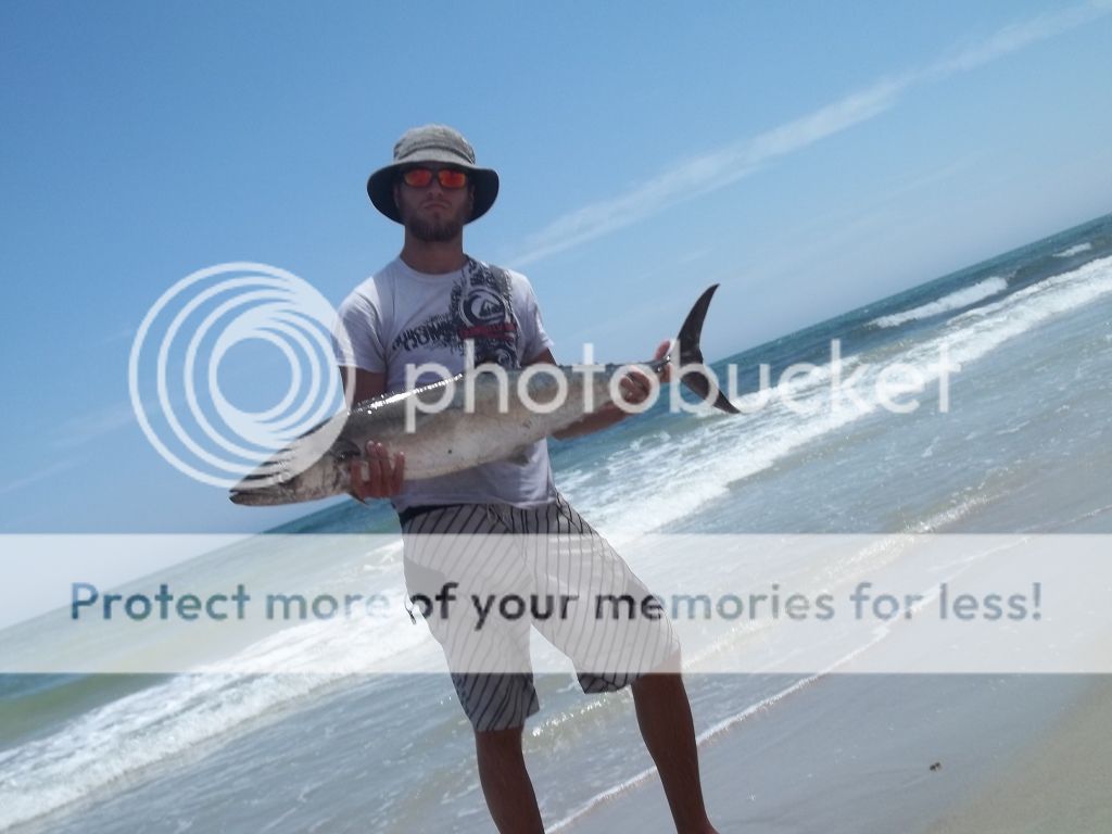 SuedeKingfish.jpg