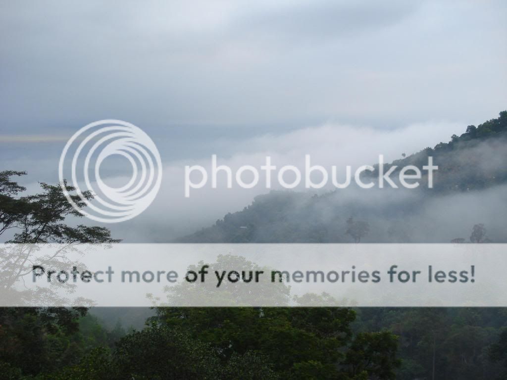 Tour Hồ Đa Mi - Vương Quốc Cá Tầm Việt - 1