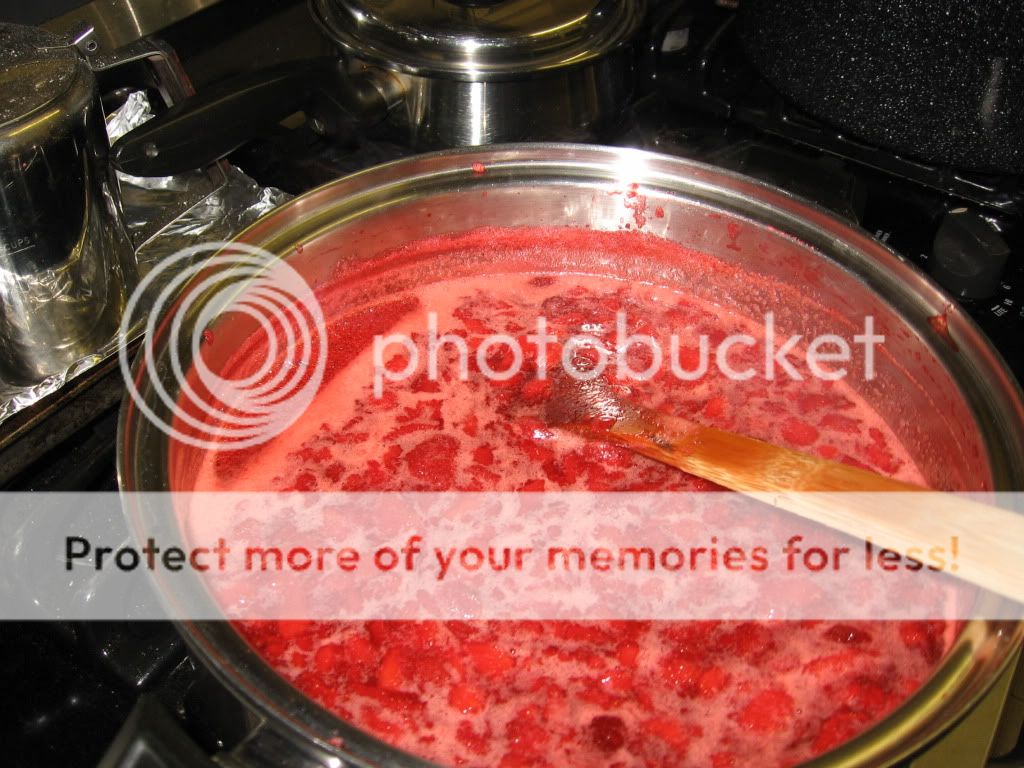 *warning snake pic id .. and strawberries - Homesteading Questions