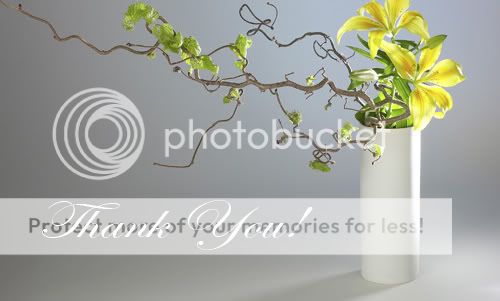 thank you images. Thank You Pictures, Images