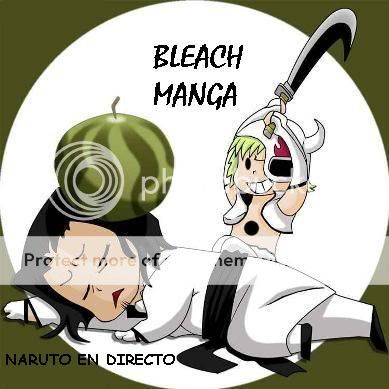http://i563.photobucket.com/albums/ss73/jaco13909/bleachmanga.jpg