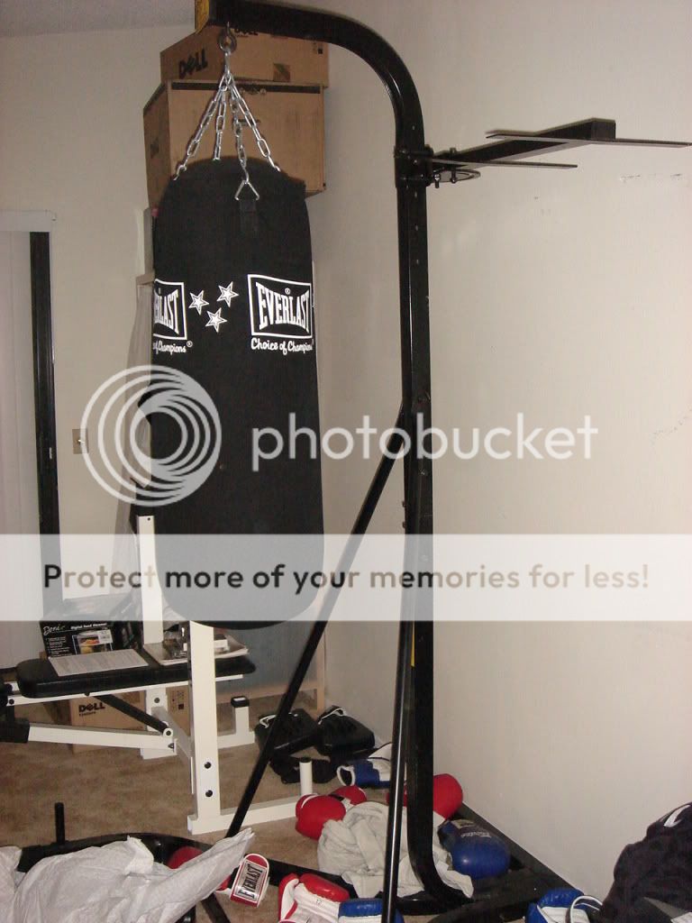 Everlast Punching Bag + Stand 120 Photo by IKEASTUFF91765 Photobucket