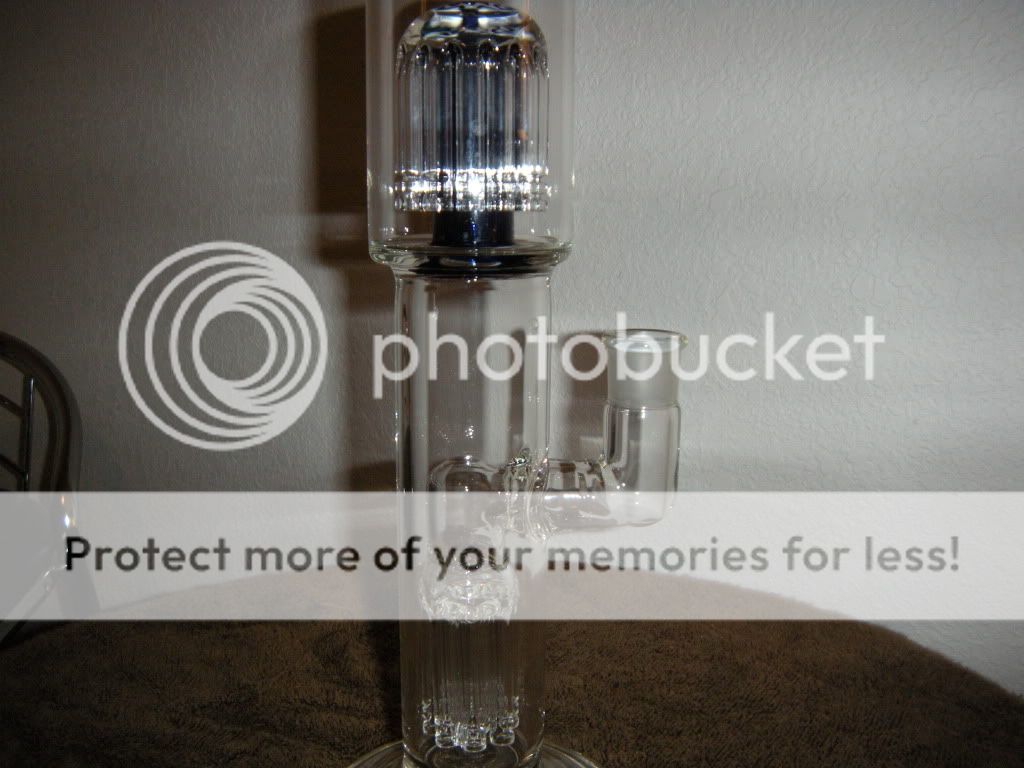 Most Expensive Bong? Page 4