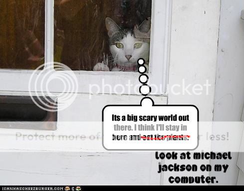 LOLcats-1.jpg
