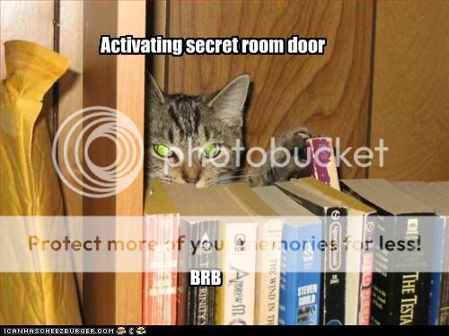 lolcatssecretdoor.jpg