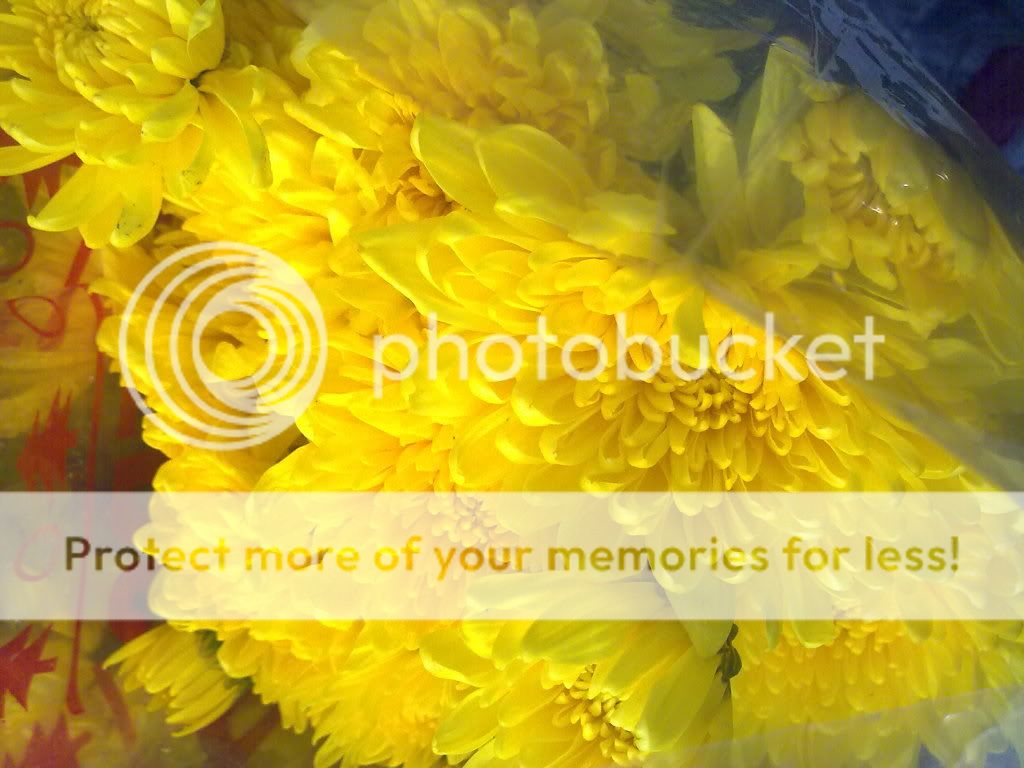 topic về những hình ảnh chụp bằng điện thoại di động - 1