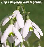 th_LEPDAN1-2.jpg